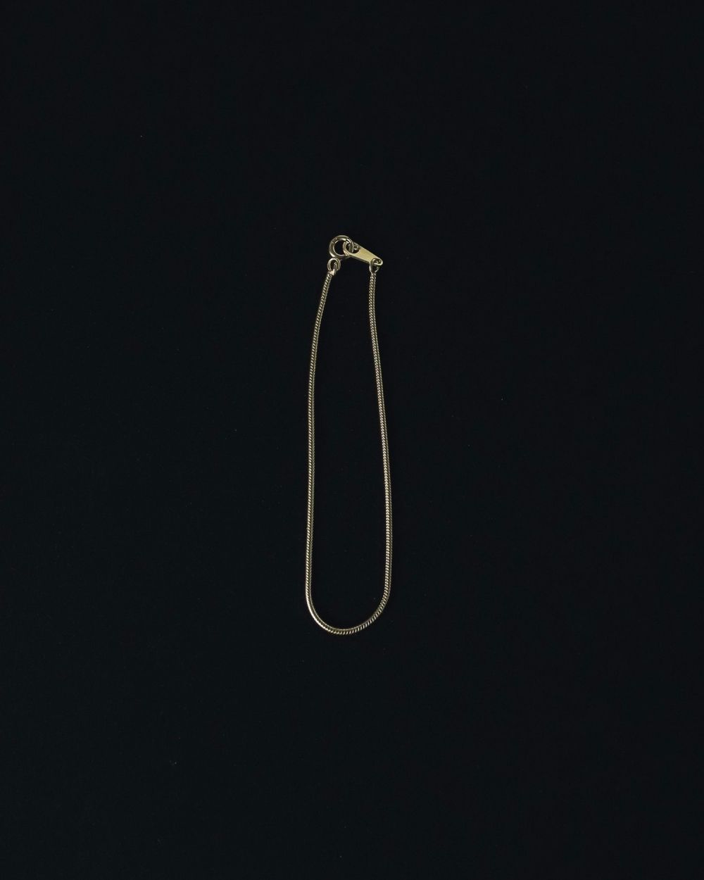 Snake Chain Bracelet Snake Chain Bracelet,スネークチェーンブレスレット,62510905,ブレスレット,アクセ,アクセサリー,きれいめ,ànuke,トアンヌーク,lifes,ライフズ,25ss