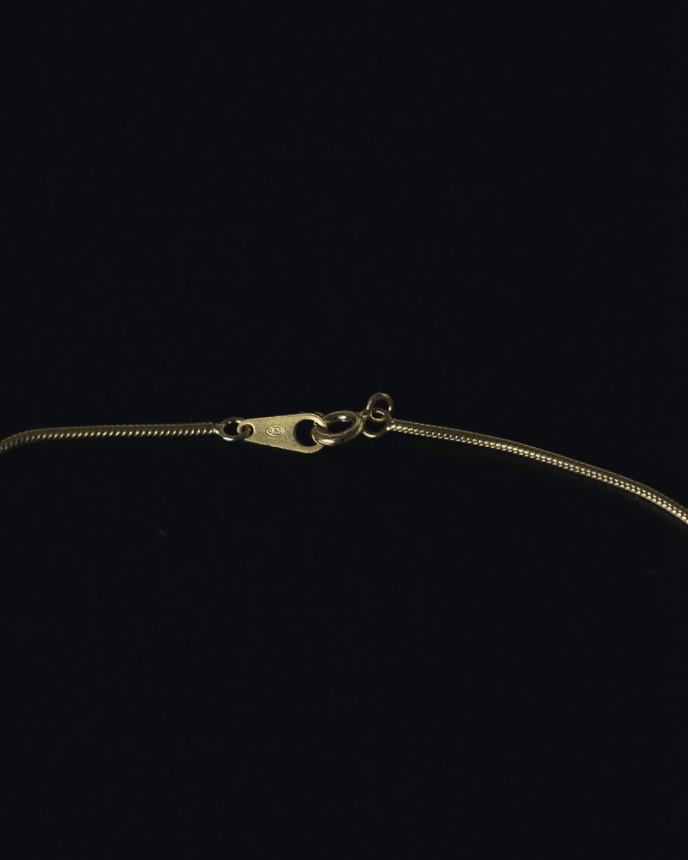 Snake Chain Necklace Snake Chain Necklace,スネークチェーンネックレス,62510906,ネックレス,アクセ,アクセサリー,きれいめ,ànuke,トアンヌーク,lifes,ライフズ,25ss