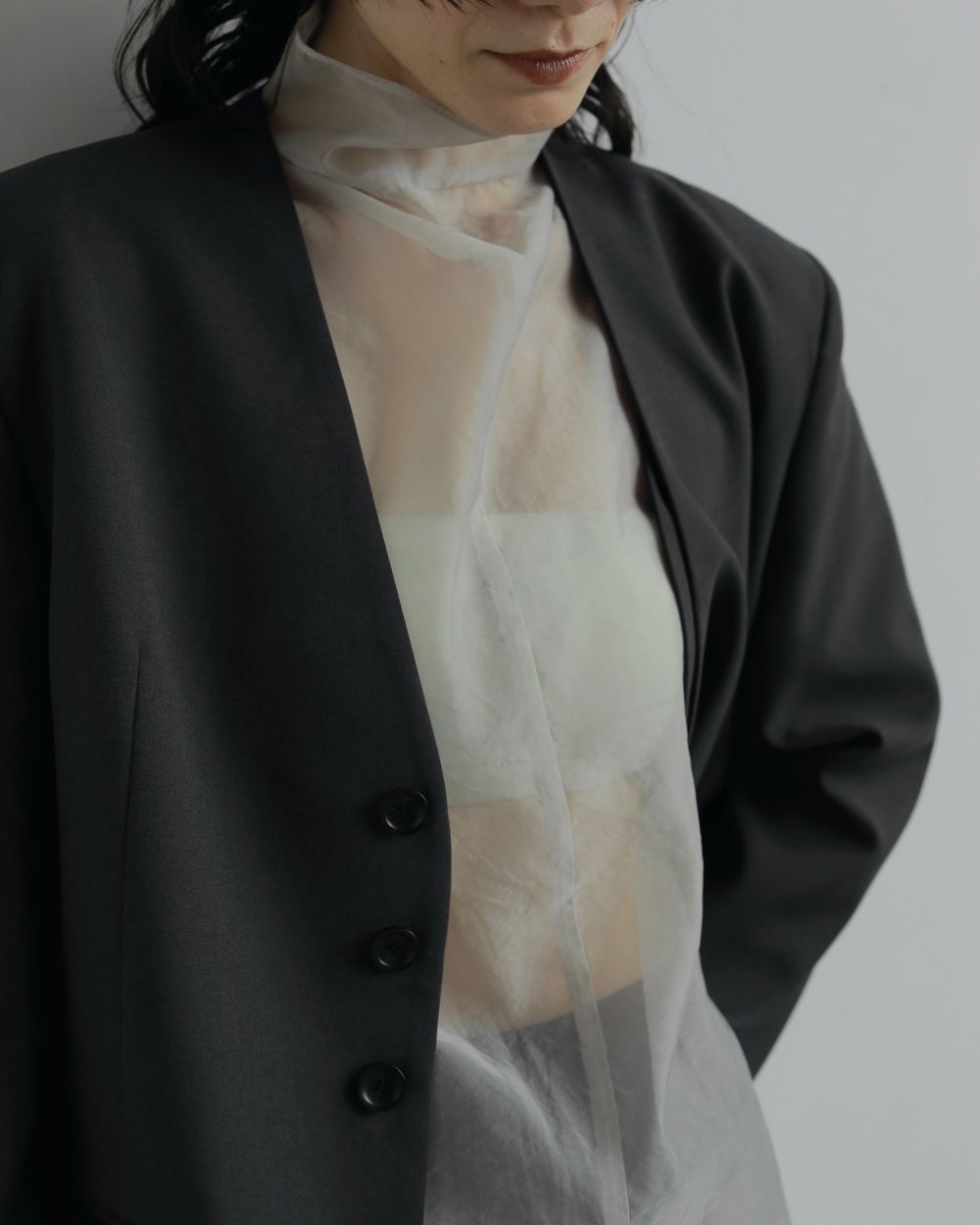 Sheer Turtle Onepiece Sheer Turtle Onepiece,シアー タートル ワンピース,62520303,ワンピース,ワンピ,ロング丈,透け感,シアー,ànuke,アンヌーク,lifes,ライフズ,25aw