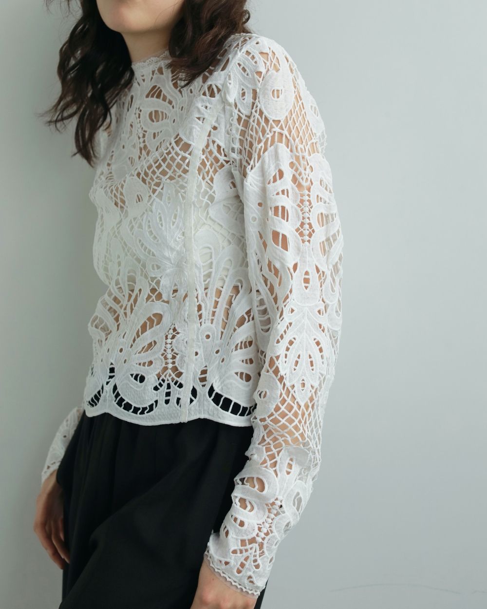 Panel Lace Blouse Panel Lace Blouse,パネル レース ブラウス,62520402,トップス,ブラウス,シャツ,レースシャツ,ànuke,アンヌーク,lifes,ライフズ,25aw