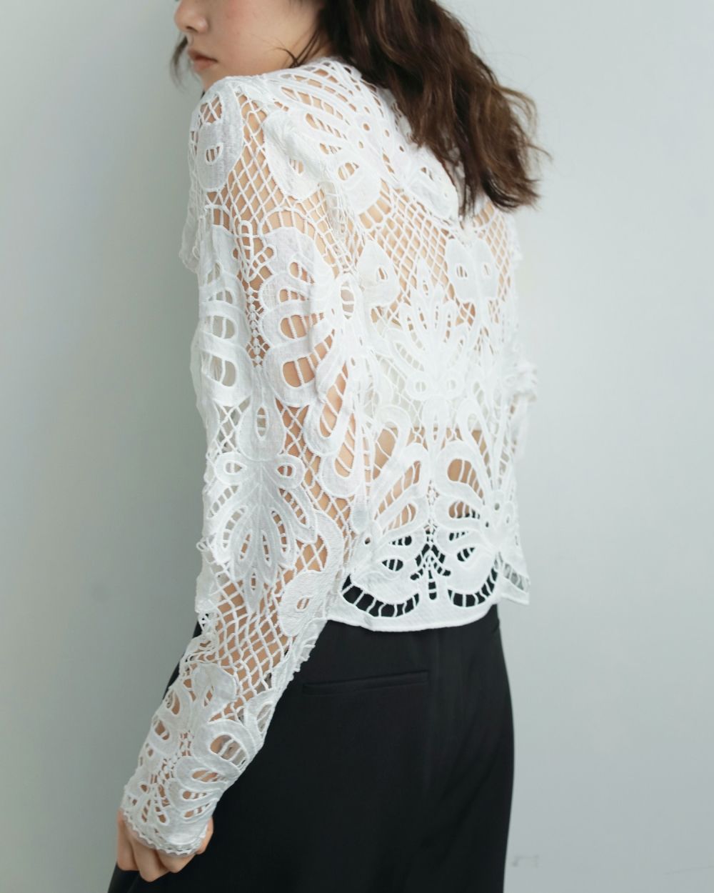 Panel Lace Blouse Panel Lace Blouse,パネル レース ブラウス,62520402,トップス,ブラウス,シャツ,レースシャツ,ànuke,アンヌーク,lifes,ライフズ,25aw