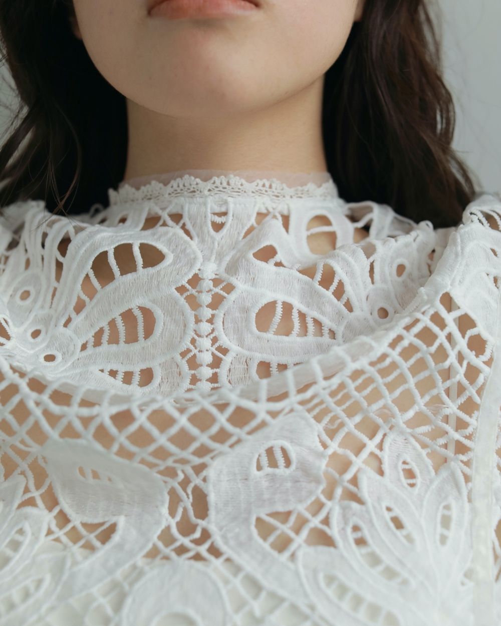 Panel Lace Blouse Panel Lace Blouse,パネル レース ブラウス,62520402,トップス,ブラウス,シャツ,レースシャツ,ànuke,アンヌーク,lifes,ライフズ,25aw